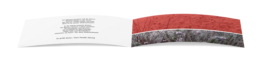 Weihnachtskarte „Eisblumen Rot“