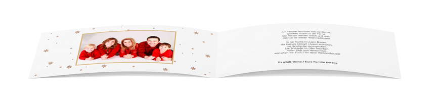 Weihnachtskarte „Comic-Elch braun“